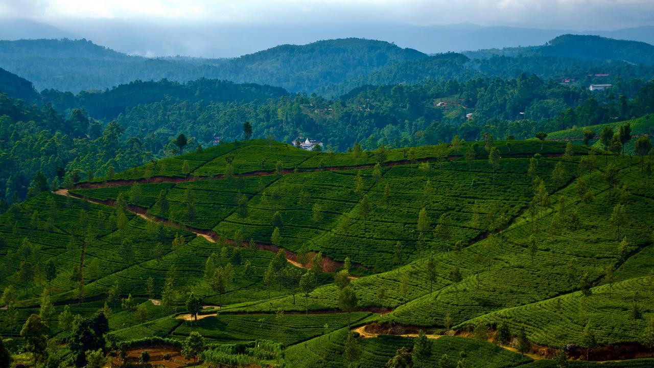 Lakshan View Resort Haputale Eksteriør bilde